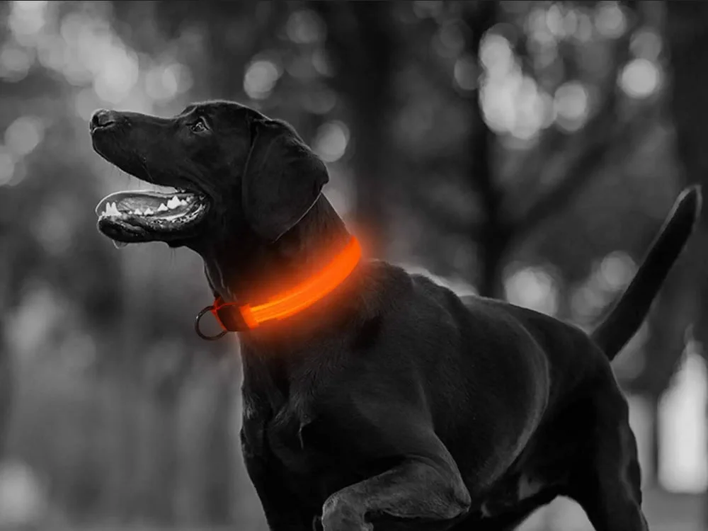 Univerzalna LED svjetleća ogrlica za pse i mačke - podesiva do 59 cm - slika 12