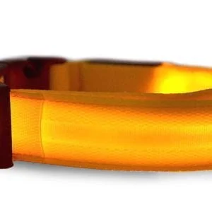 Univerzalna LED svjetleća ogrlica za pse i mačke - podesiva do 59 cm