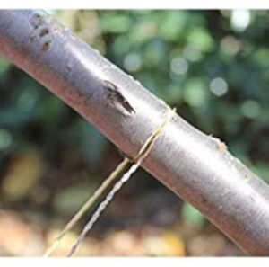 Mali komplet za preživetje SURVIVAL