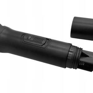 Karaoke zvočnik FM USB Bluetooth z daljincem, mikrofonom, LED RGB