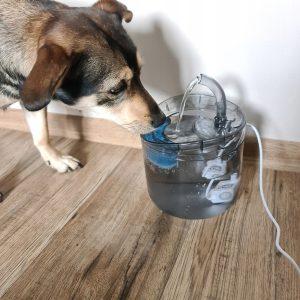 Avtomatska senzorska fontana prozorna - napajalnik za mačke in pse 2L 24 Prozorna avtomatska senzorska fontana za mačke in pse 2L