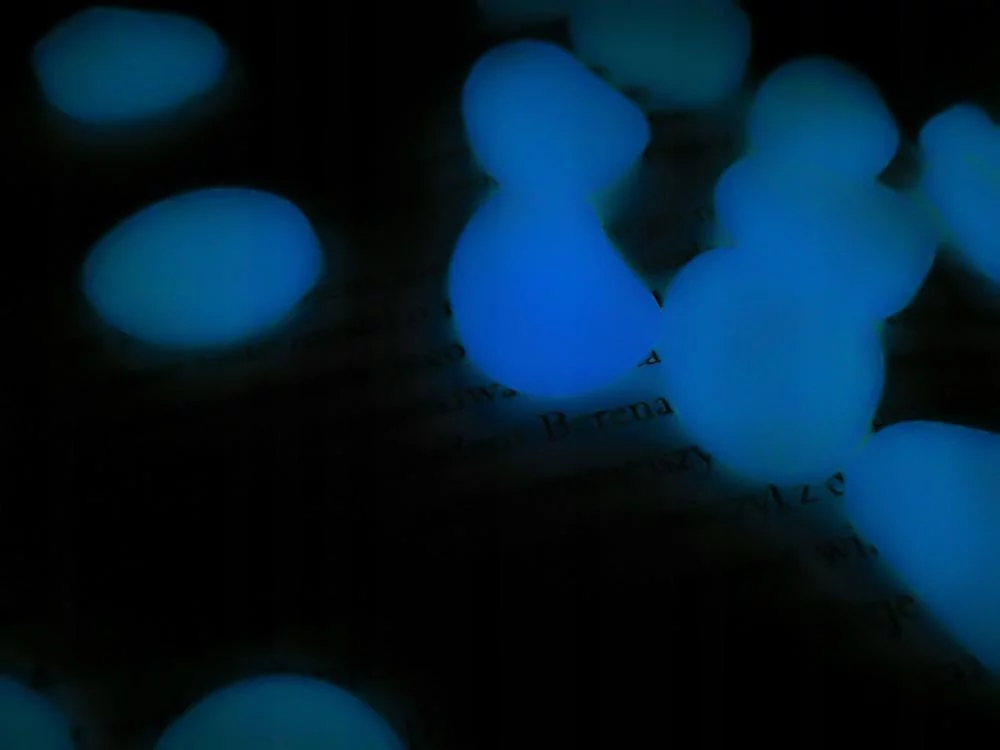 Fluorescentni svetleči kamni 100kos do 3cm - Image 3