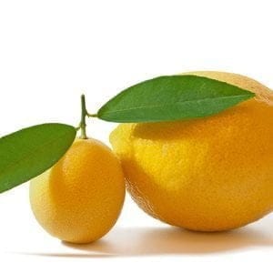 40W ožemalnik citrusov 700ml