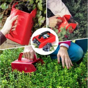 a collage of hands picking berries