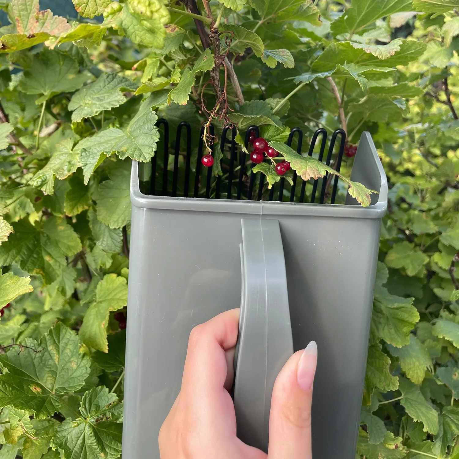 a hand holding a grey container with a handle over a plant