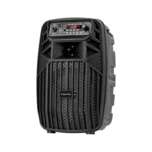 Prenosni aku. FM USB karaoke zvočnik Bluetooth LED RGB 10W Music Box Mini 10 Mini prenosni Bluetooth karaoke zvočnik z LED RGB