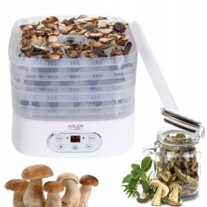 a food dehydrator with mushrooms