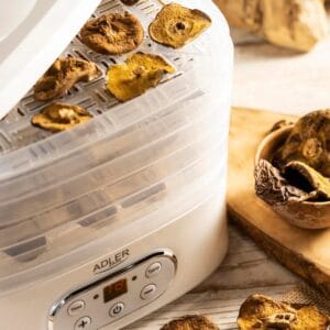a food dehydrator with dried fruits