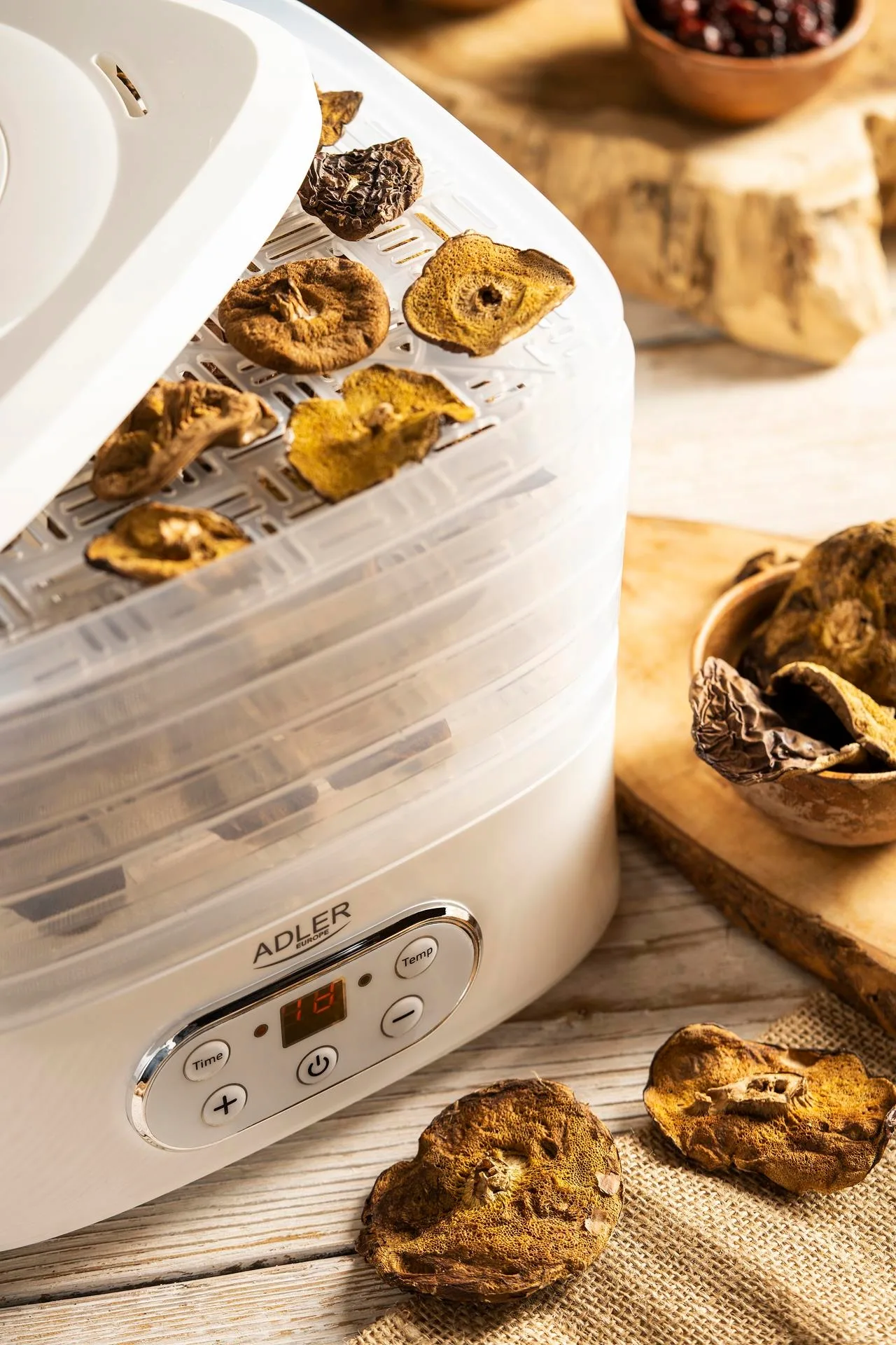 a food dehydrator with dried fruits
