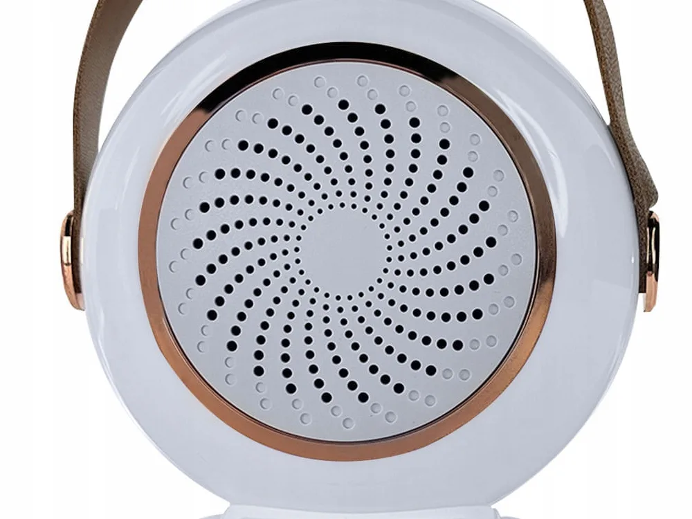 Brezžični Bluetooth 5.3 LCD karaoke zvočnik 2x mikrofon LED RGB FM - Image 12