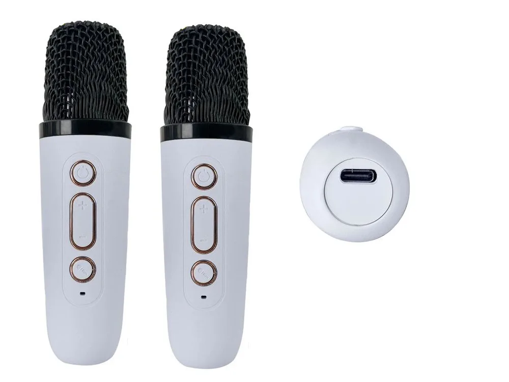 Brezžični Bluetooth 5.3 LCD karaoke zvočnik 2x mikrofon LED RGB FM - Image 14