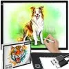 Veliki A3 USB LED grafički tablet za slikanje i skiciranje