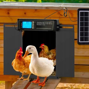 Elektronska solarna avtomatska LCD vrata za kokošnjak 38x28cm črna