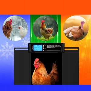 Elektronska solarna avtomatska LCD vrata za kokošnjak 38x28cm črna