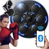 LED boksarski ščit MMA trenerska glasba USB Bluetooth 43cm LCD rokavice 1 LED boksarski ščit MMA s 43 cm LCD zaslonom, Bluetooth in USB za trening.